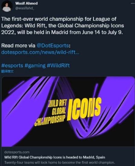 新玩家的体 新玩家的体